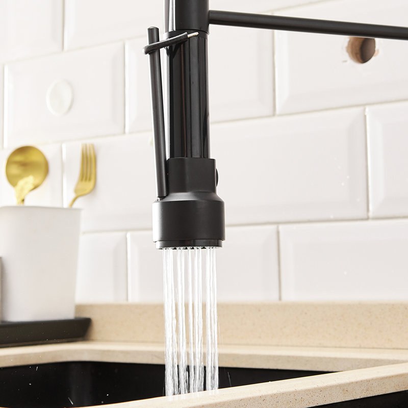 Robinet de cuisine rétractable, levier unique, surface noir mat, pour les cuisines contemporaines à deux réglages, noir et argent, pivotant à 360 degrés