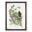 Brown-Winged Hawk by John James Audubon - Picture Frame Art Print-55513110-55513113