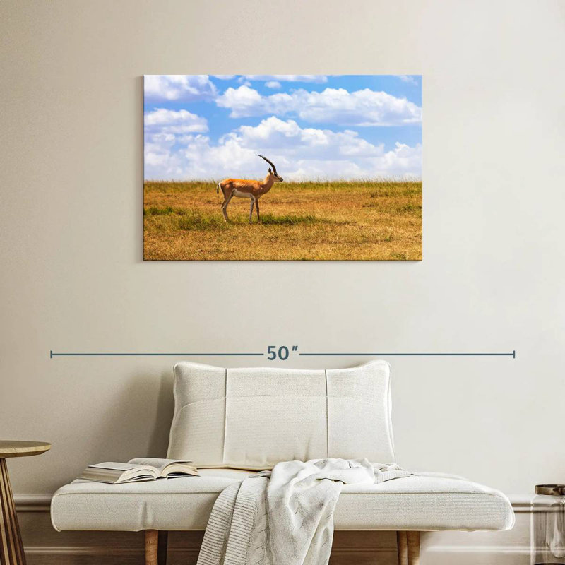 Gazelle Brampt dans la savane, H 24 po x l 36 po