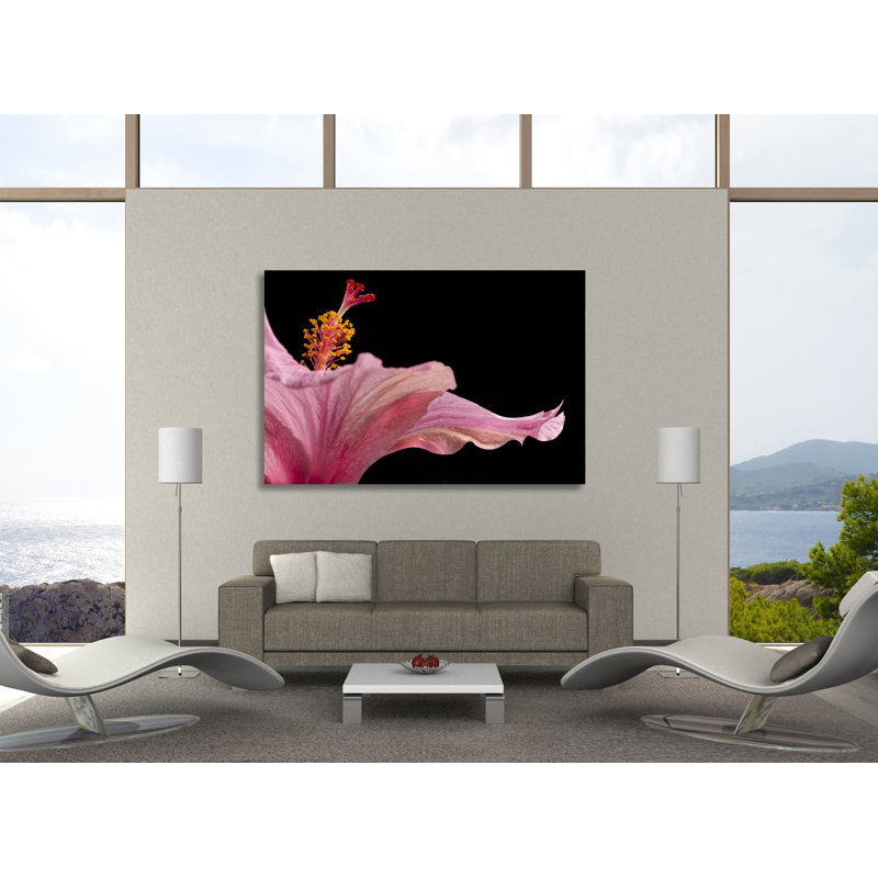 Hibisucs 1 by Barry Seidman - Wrapped Canvas Print, 71cm H x 107cm W x 4cm D