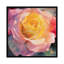 « fleur i », impression sur toile-29084373-72795701-72795702
