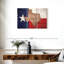 Carte d'État sur le drapeau du Texas, 3 pièces-92829663