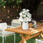 Table Vase - Set of