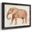 Éléphant sagesse I-636670018-636670031