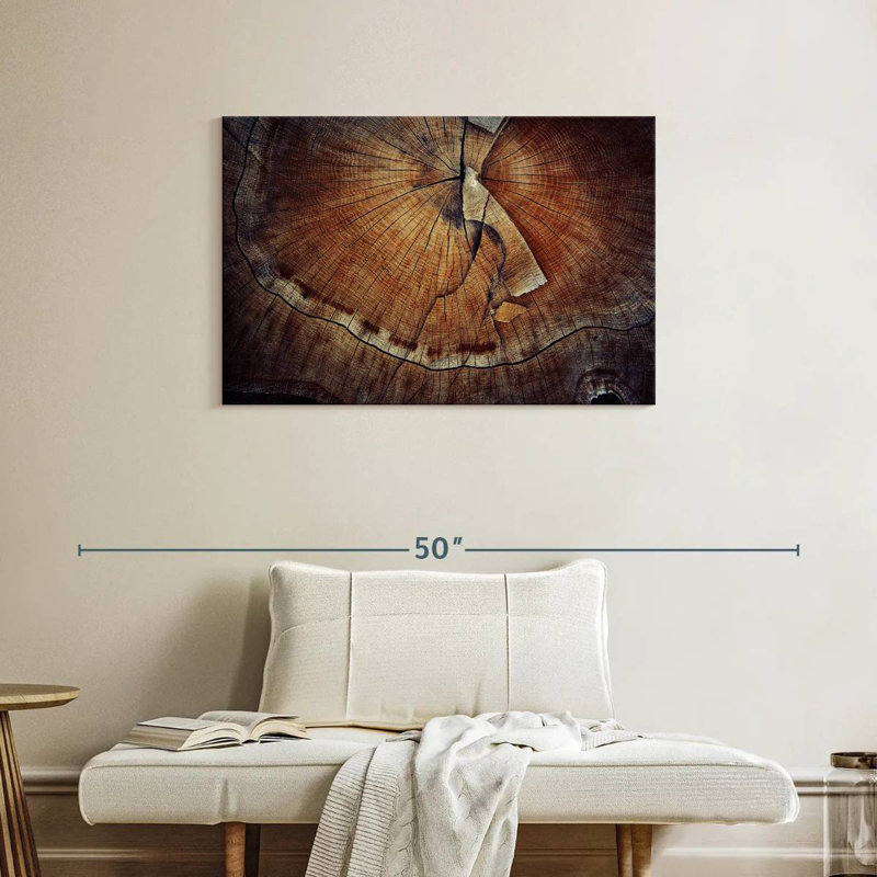 Harnek Tree Ring Texture, 24" H x 36" W