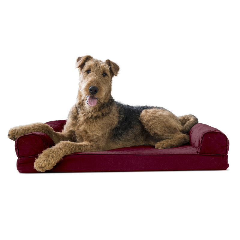 Driftwood Brown Large Orthopedic Foam Sofa Dog Bed