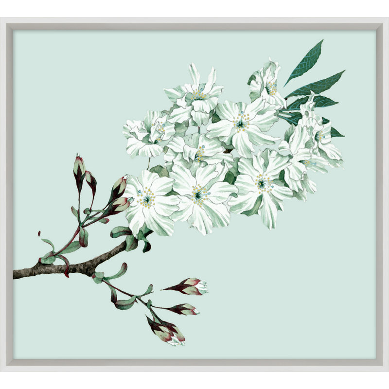 Powder Blue Blossom 6 Print