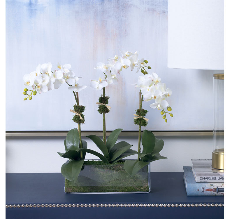 Elegant White Phalaenopsis Orchid Trio in Glass Vase
