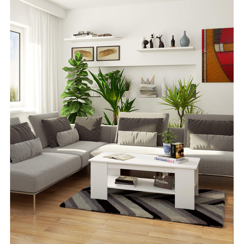 Safeera Coffee Table with Storage