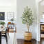 152cm Plant-1453861710