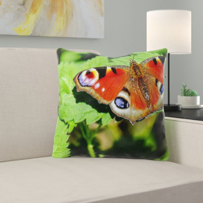Coussin de papillon peacock