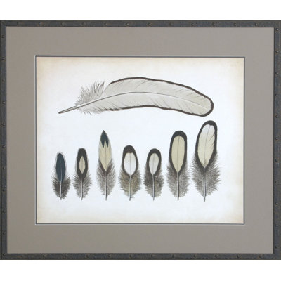 Vintage Feathers IX - peinture encadrée sur papier