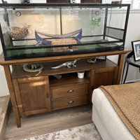 REPTIZOO 48'' x 24'' x 18'' Reptile Terrarium & Reviews - Wayfair Canada