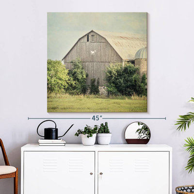 Lilie Late Summer Barn II