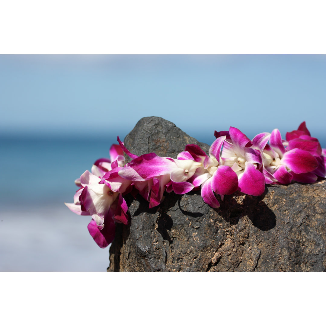 Lei On Volcanic Rock In Maui von Sarah8000 - Ohne Rahmen auf Leinwand drucken