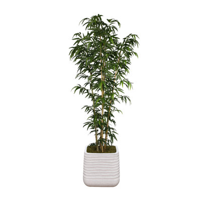 Arbre en bambou artificiel 78,57 po en pot