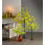 Arbre de ginkgo intérieur / extérieur, 4 po de hauteur-775051009