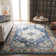 Bailes Oriental Area Rug