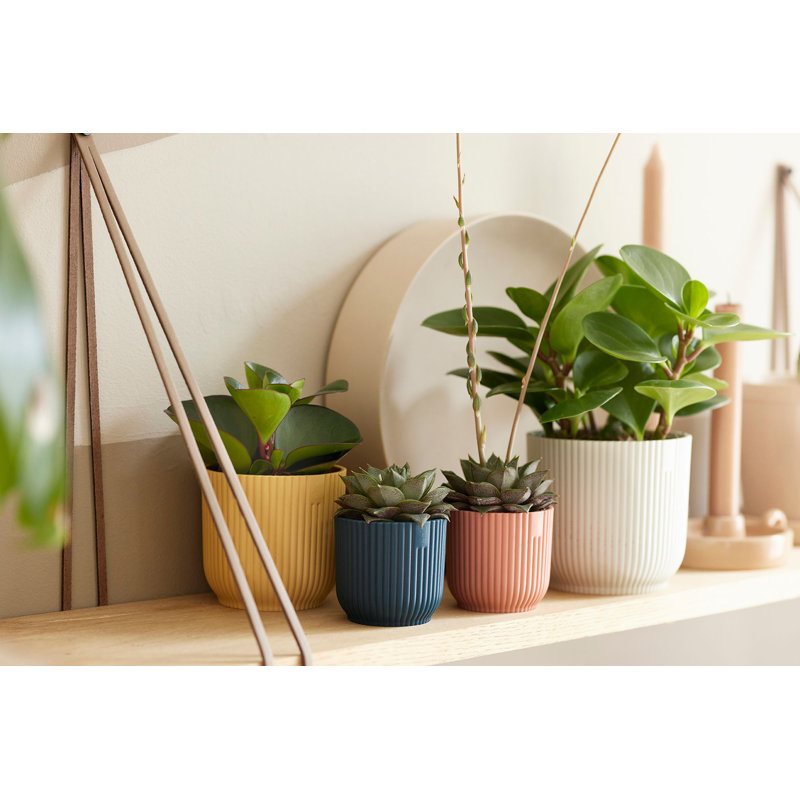 Pot Planter, Silky White, 8.8cm H x 9.3cm W x 9.3cm D