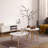 EGG SHAPE COFFEE TABLE