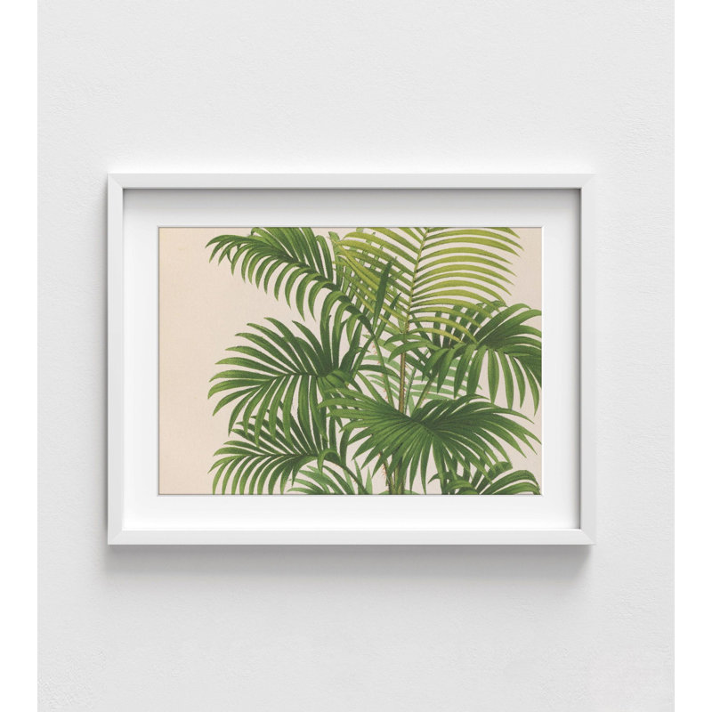Photographie de plante tropicale, art mural de pavillon rustique botanique, affiche de décoration murale feuille tropicale