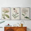 Antique Botanical Collection VI - Toile tendue avec châssis sur mesure - 3 pièces-1957063064-1957063071