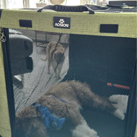 ARC Soft Travel Pet Crate & Reviews