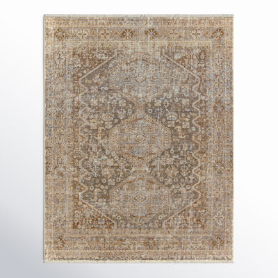 Clemente Oriental Indoor Rug