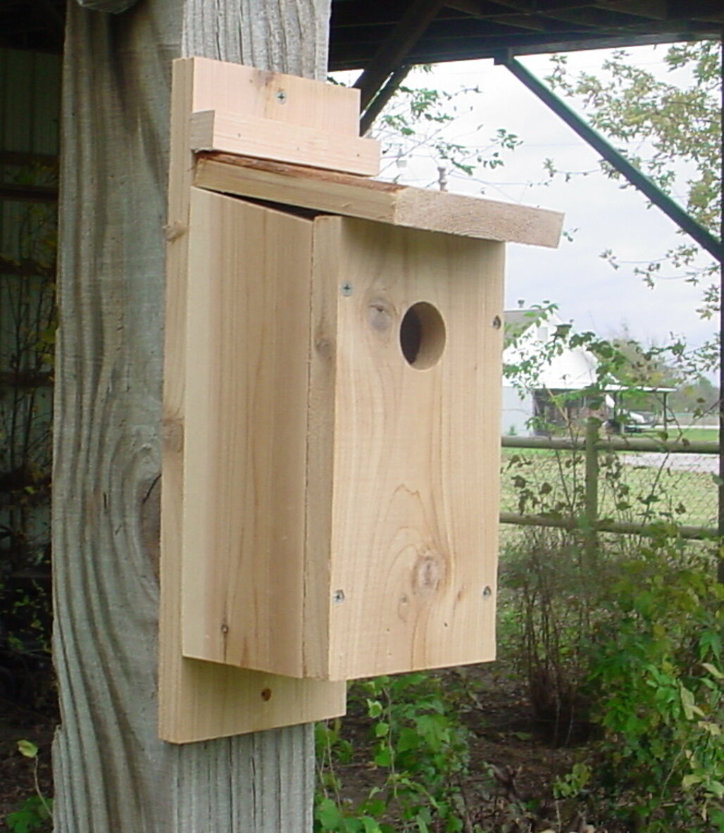 Union Rustic Huldah Cedar Bluebird House | Wayfair