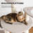 64.2''H Multi Level Cat Tree For Indoor Extra Large Cats & MaineCoon-133743406
