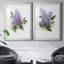 Lilac Romance I - ensemble de 2 reproductions-1072301651-1072301671-999796231