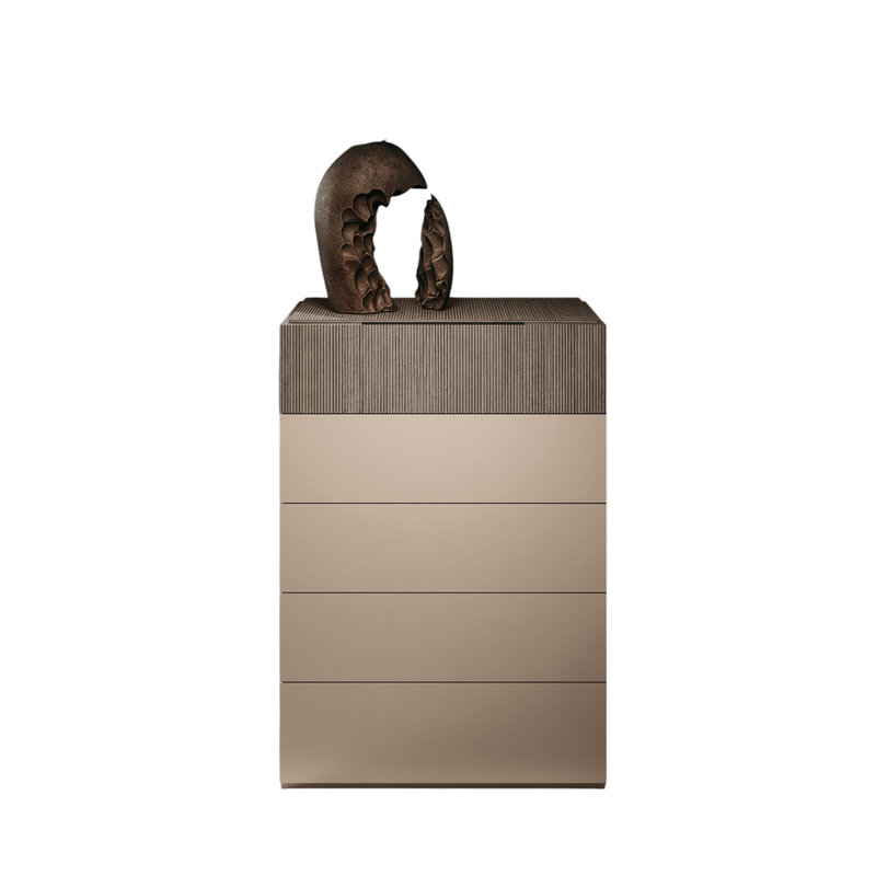 5-drawer Contemporary Storage Cabinet