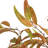 5ft. Autumn Wispy Eucalyptus Artificial Fall Tree