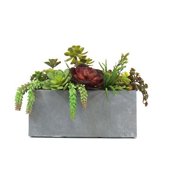 Dalmarko Designs Faux Succulent Plant in Clayfibre Planter | Perigold