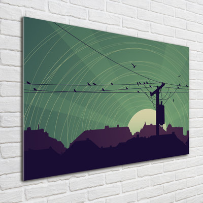 Glass Print Wall Art 100X70cm Image Printed On Glass Decorative Wall Picture Behind Toughened / Tempered Safety Real Glass For Kitchen & Living Room Theme:Birds Of The City