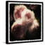 Roses and Shadows 1 Piece Single Picture Frame Painting-1756314792