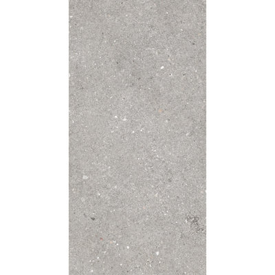 Sensory Details 12" X 24" Porcelain Concrete Look Tile