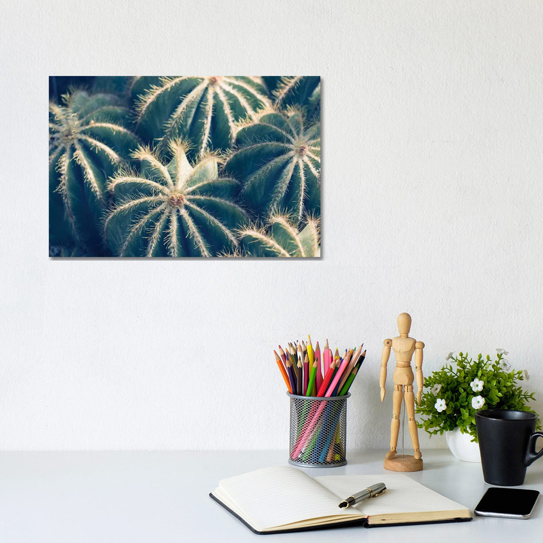 Cactus Garden II by Ann Hudec - Wrapped Canvas Graphic Art