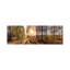 Sunny Day In Forest Panorama - Wrapped Canvas Panoramic Print-914750489