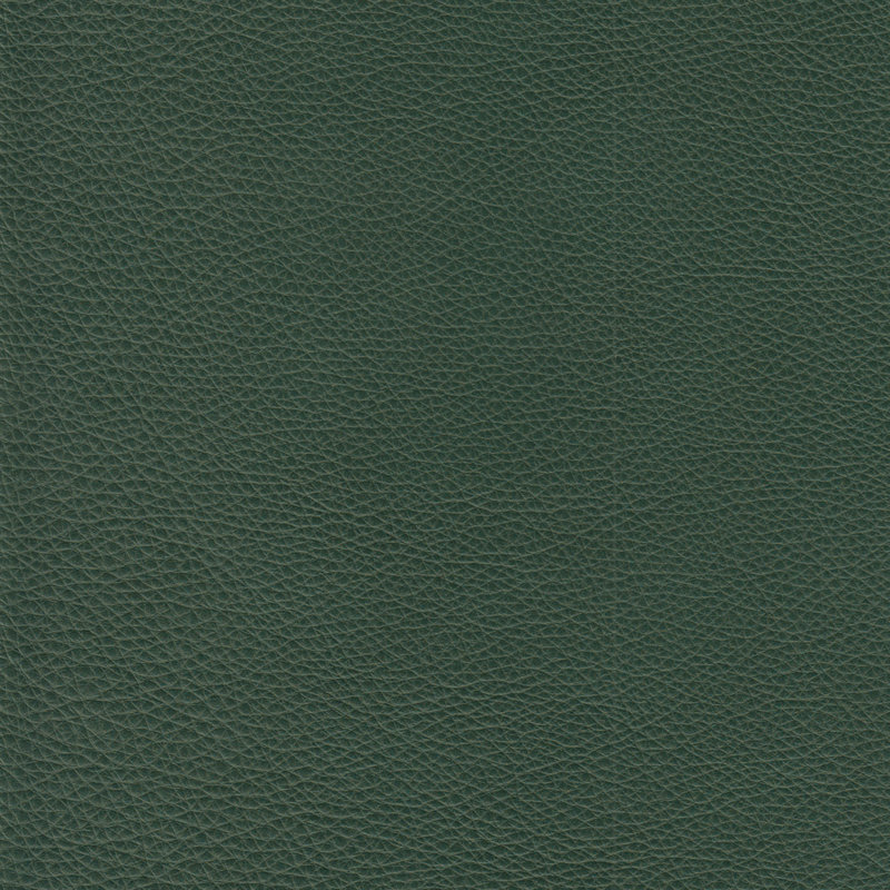 Causeuse en cuir véritable 57 po Rambrij, Vert