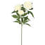 Rose artificiel Frangia 27 po-23353338