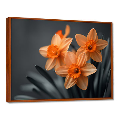 Monochromes tournesol sourire jonquilles I - jonquilles murales