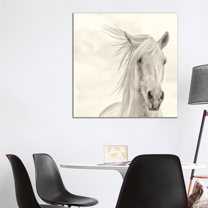 Wind Blown Mane I by PHBurchett - Wrapped Canvas Print, 93.98 cm H x 93.98 cm W x 1.91 cm D
