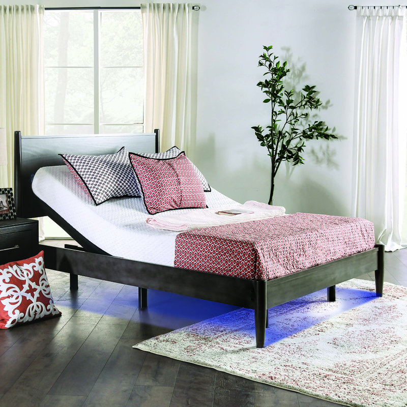 Devola 14" Adjustable Bed with Wireless Remote, Twin XL