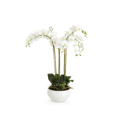 Barclay Butera Orchid In Ceramic Pot