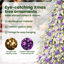 Christmas Tree with 150 LEDs PE and Steel-118094339-118094343