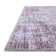 Oriental Indoor Rug