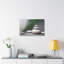 No Frame Print on Canvas-215234816
