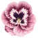 Wendover Floral Indoor Rug