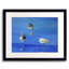 Feeding Time Print by Phyllis Adams-2081941928